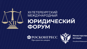 xii Петербургский международный юридический форум - фото - 1